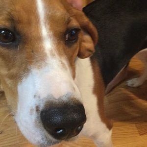 Meet your Posher, Kaycce